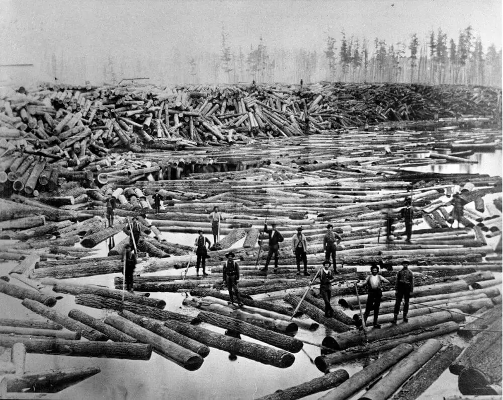 Antique Photo of Michigan Loggers