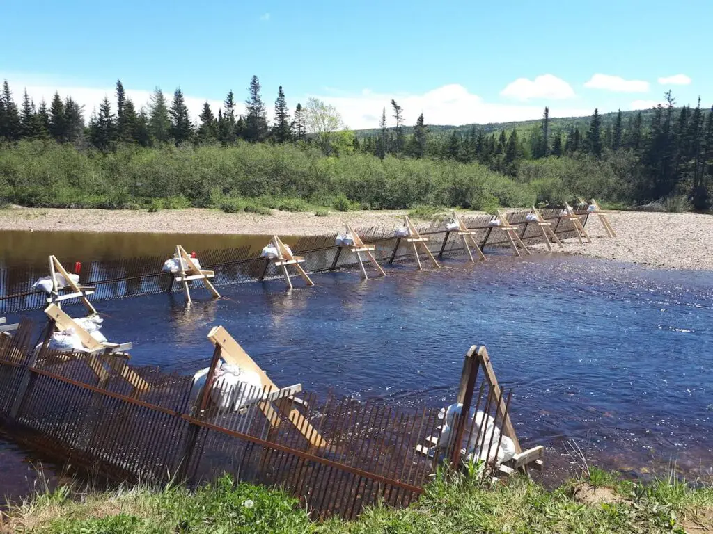 Salmon Paddock at Rattling Brook