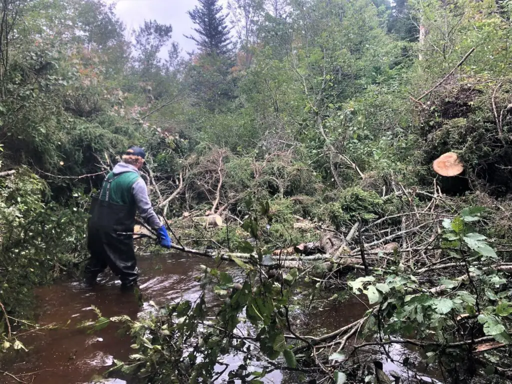 Souris and Area Branch of the PEI Wildlife Federation