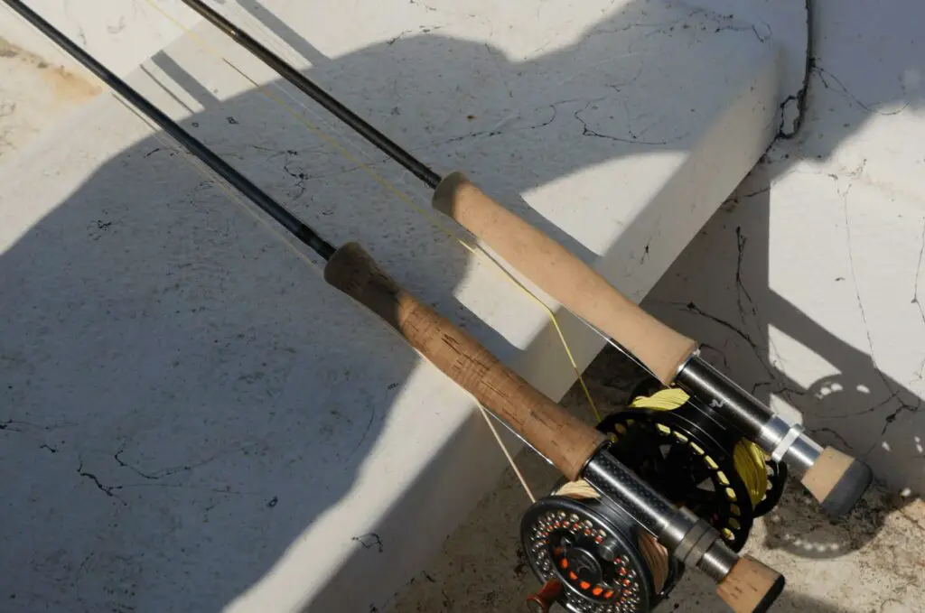 Fly rods rigged with fly reels