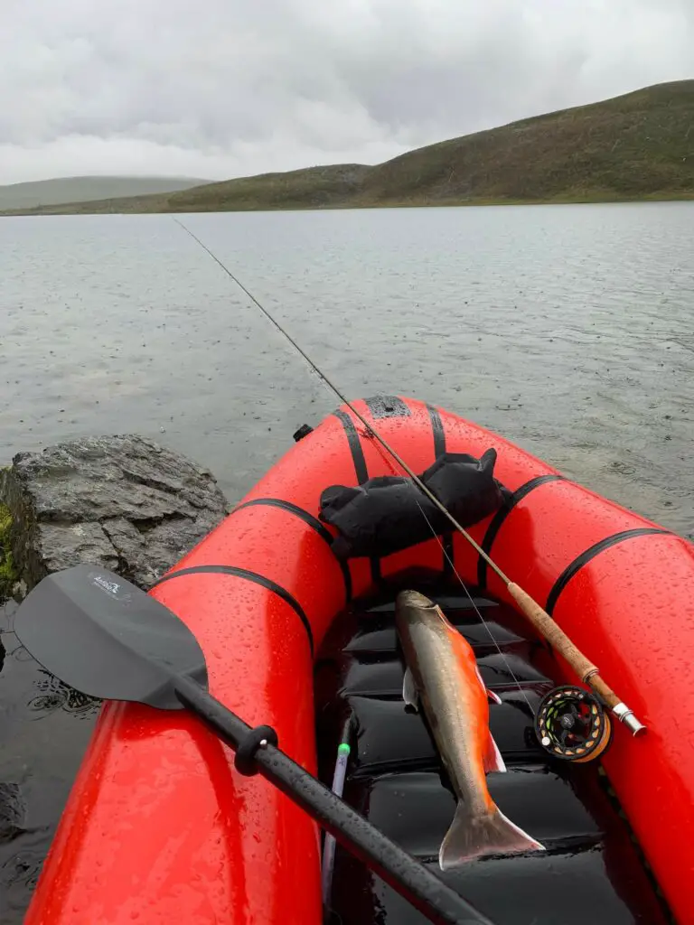 Arctic char caught fishing in finnmark