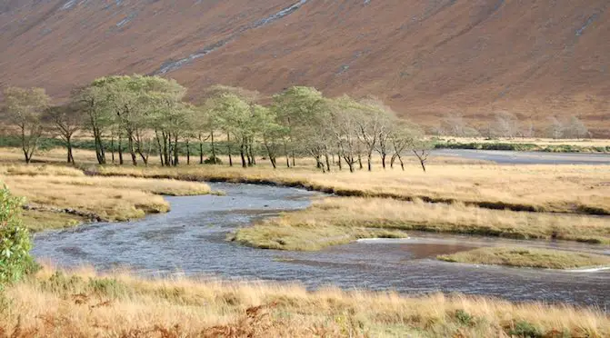 In the Spotlight: Atlantic Salmon Trust