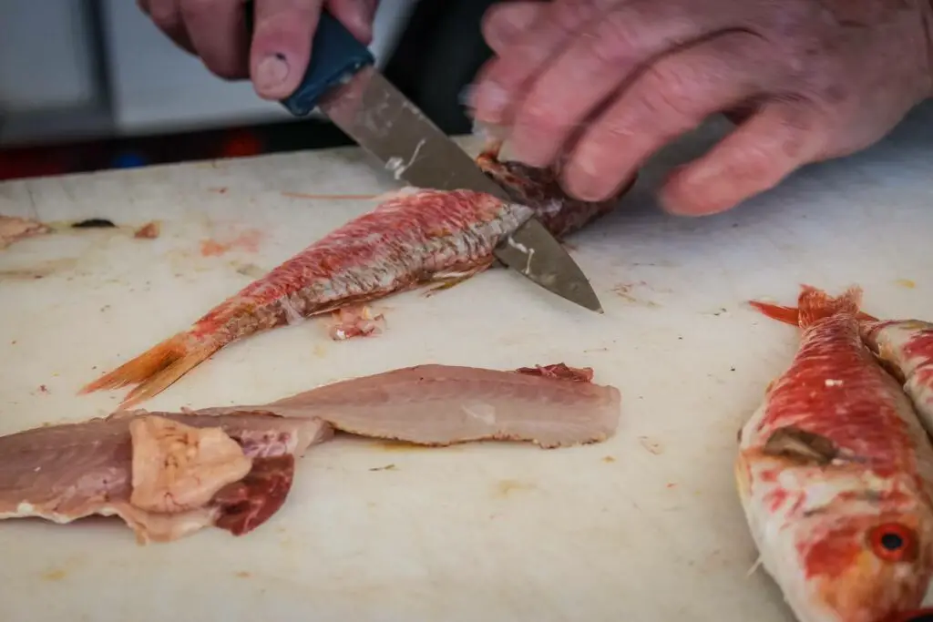 Filleting a fish