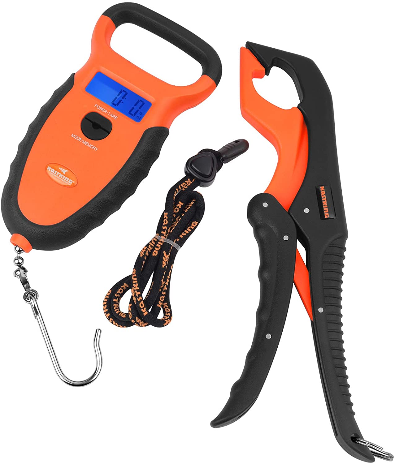 Best Fish Scale for Your Catch Top 9 of 2023 The Wading List