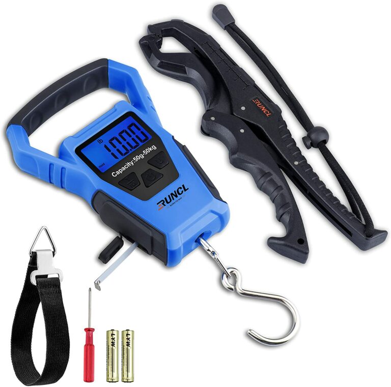 Best Fish Scale for Your Catch Top 9 of 2023 The Wading List