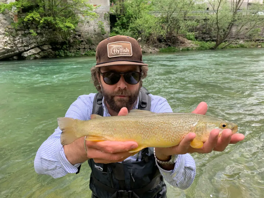 Marble trout caught fly fishing Slovenia