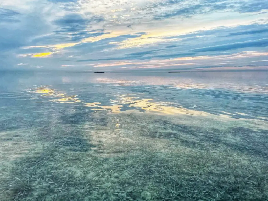 Flats in the Gulf of Mexico, Florida