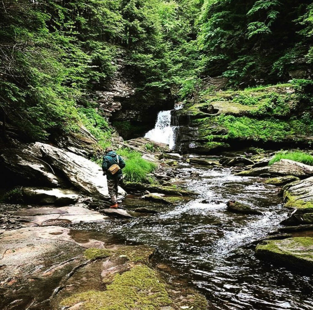 Fly fisherman on small creek