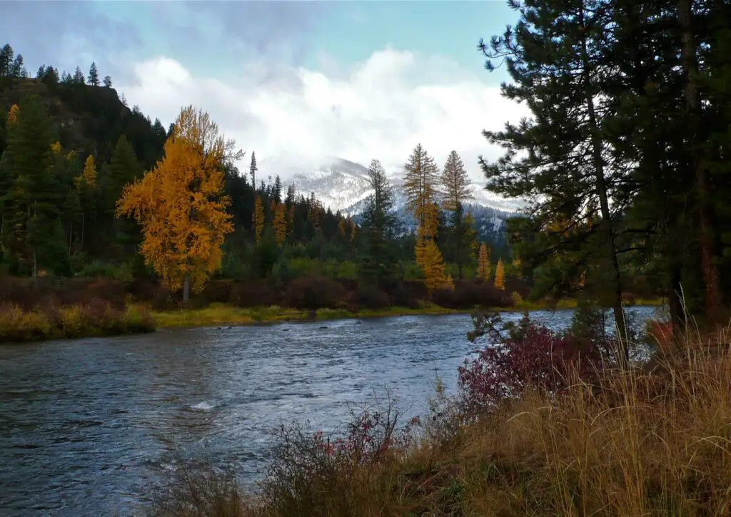 Lower Blackfoot River in early winter - John Maclean N Home Waters