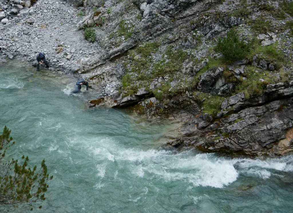 fly fisherman netting a trout