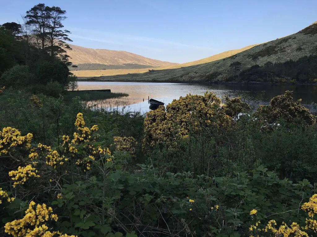 View from Delphi lodge over Finloch