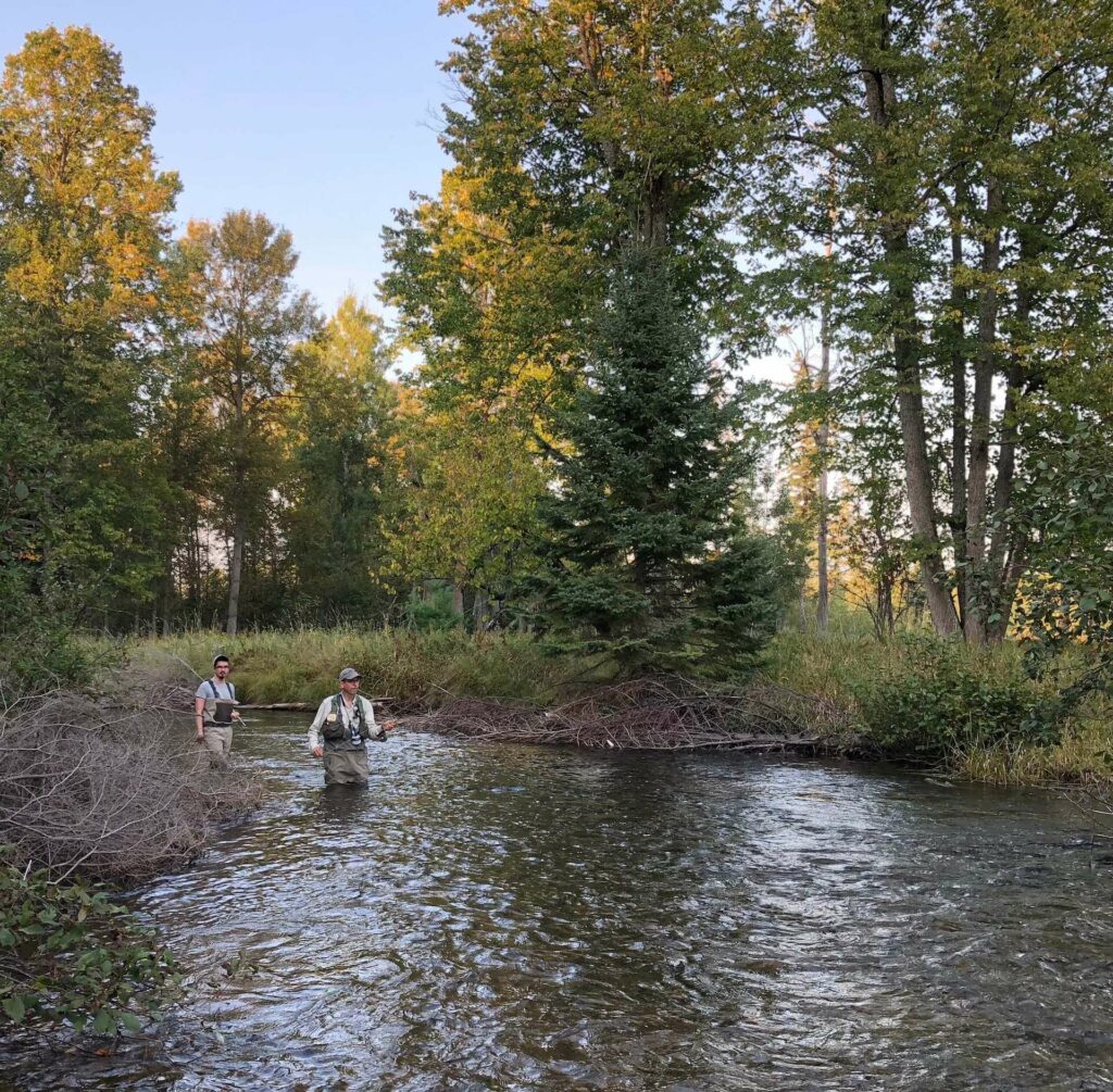 Riffles in the Hardwood Creek