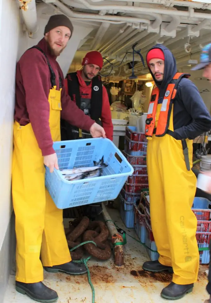 From left to right: Scientists Alexei Somov, Christoph Deeg, and Igor Grigorov onboard the Pacific Legacy No. 1 during the 2020 Gulf of Alaska Expedition. Photo Credit: Svetlana Esenkulova