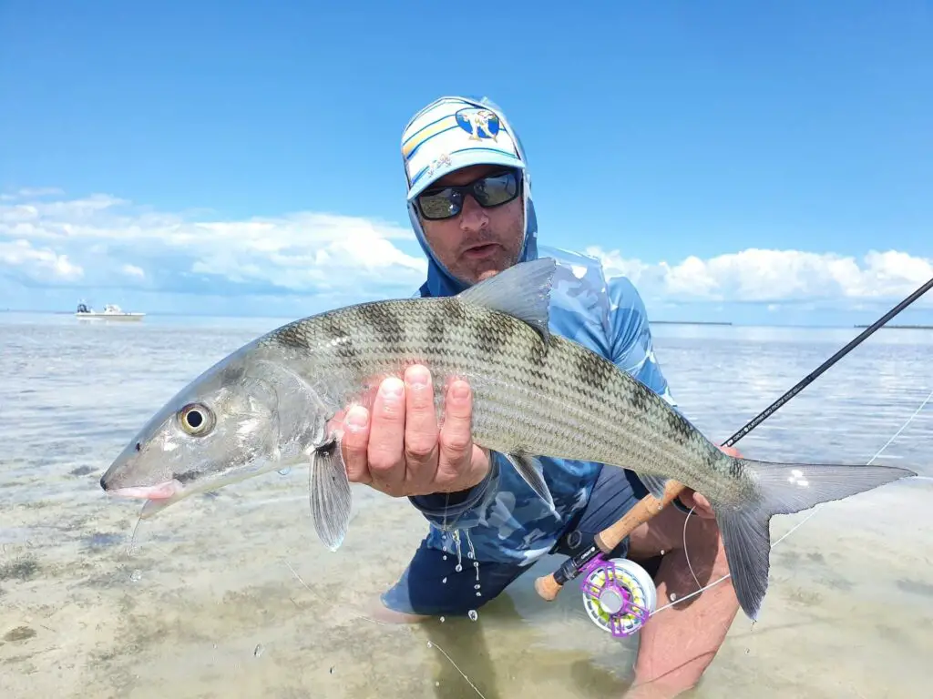 Fly fisherman holding a bonefish