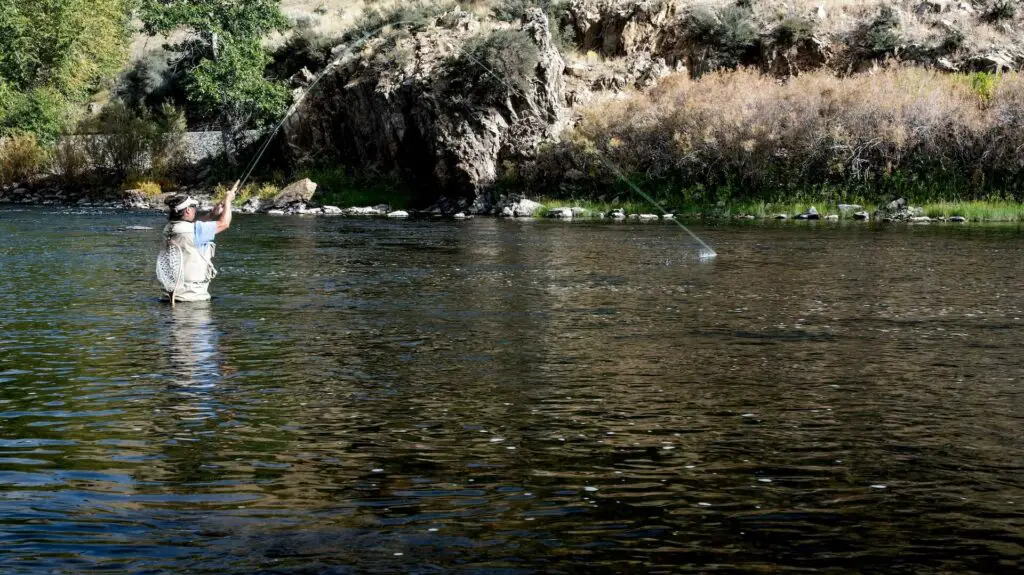 A fly fisherman playing a fish: Best Wading Staff Review