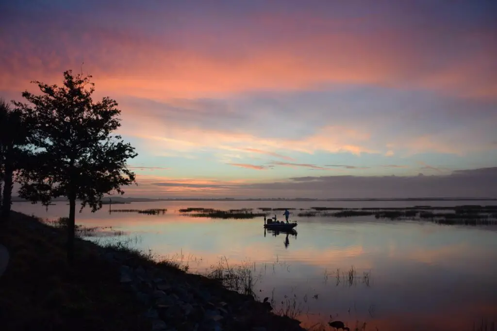 Bass fishing at dawn