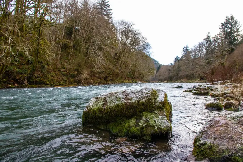 Riverbed of a river in Oregon