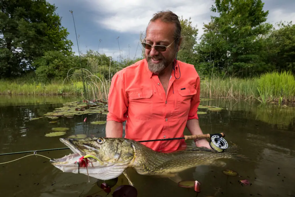 Fly Fisherman holding a pike caught on a fly rod