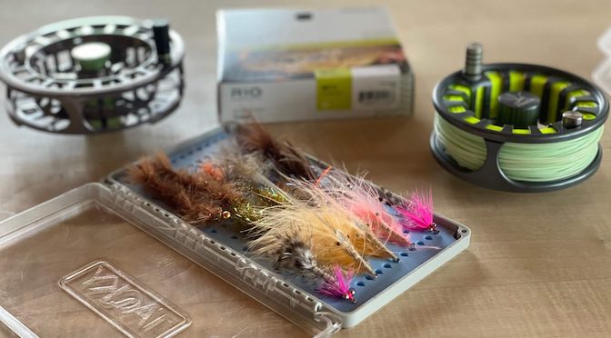 Best Saltwater Fly Box of 2024 - Buyer's Guide - The Wading List