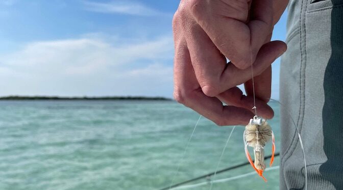 Best Saltwater Fly Line – Top 10 of 2024