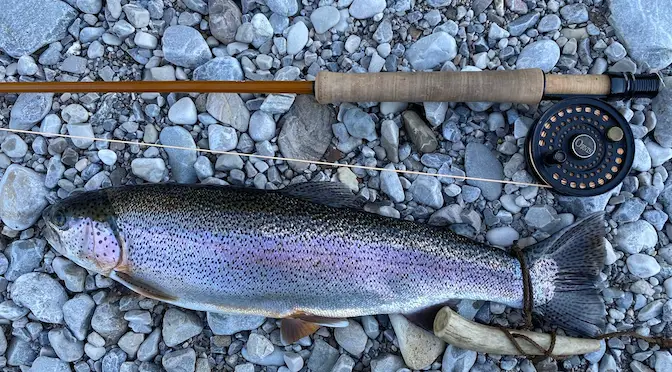 Best 4 Weight Fly Rod – Top 10 of 2023