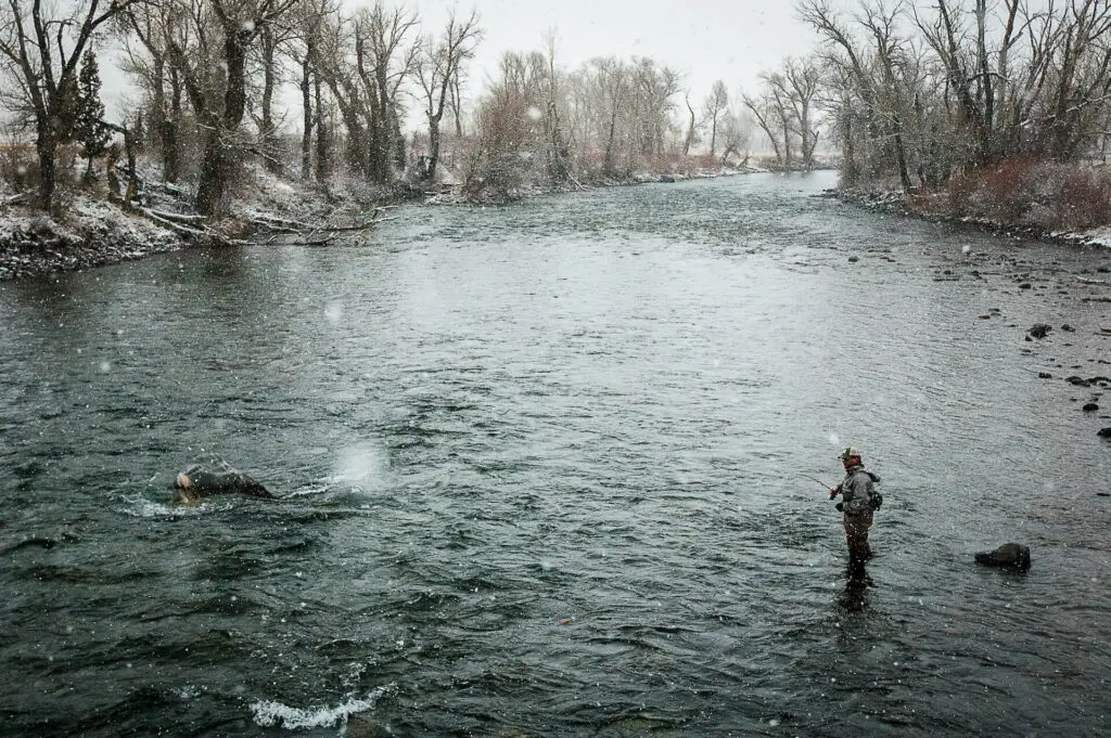 Fly fishing Montana in winter on the Gallatin River