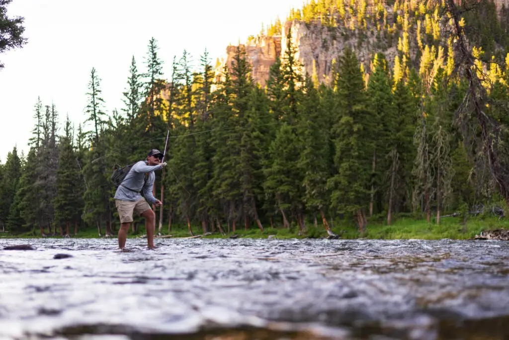 Summer fly fishing in Montana