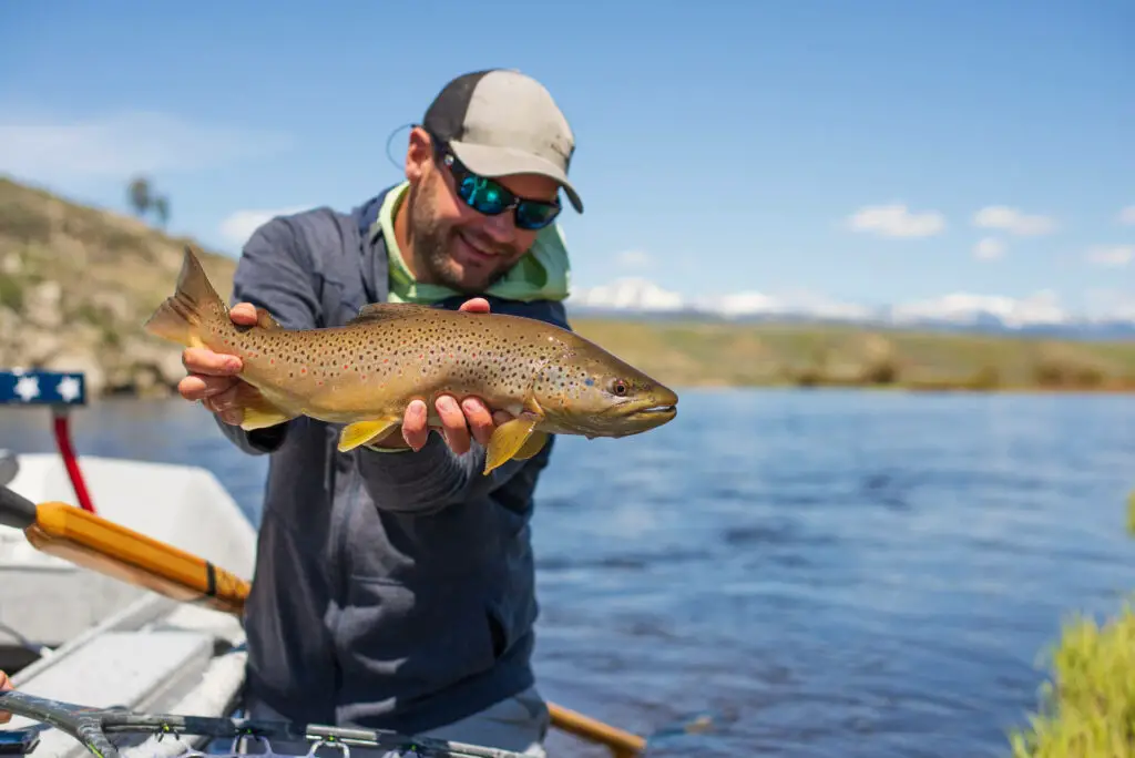 The author with a fine specimen of a Big Hole river brown trout