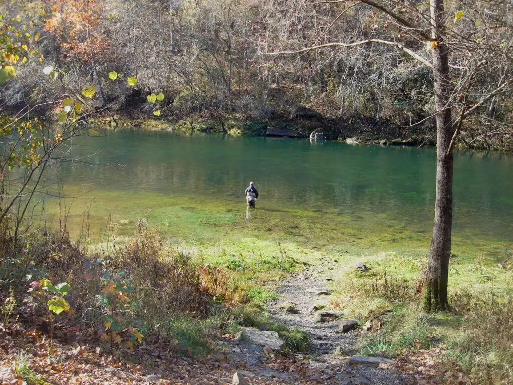 Fly fisherman fishing the Little Red River in Arkansas