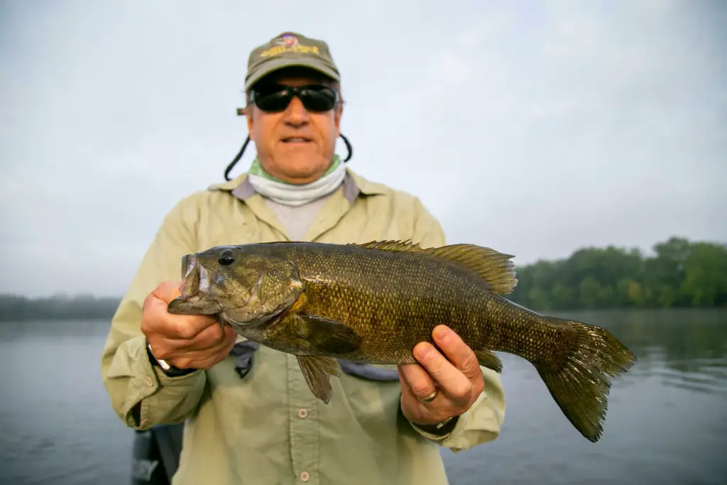 Smallmouth Bass Fly Fishing Wisconsin River