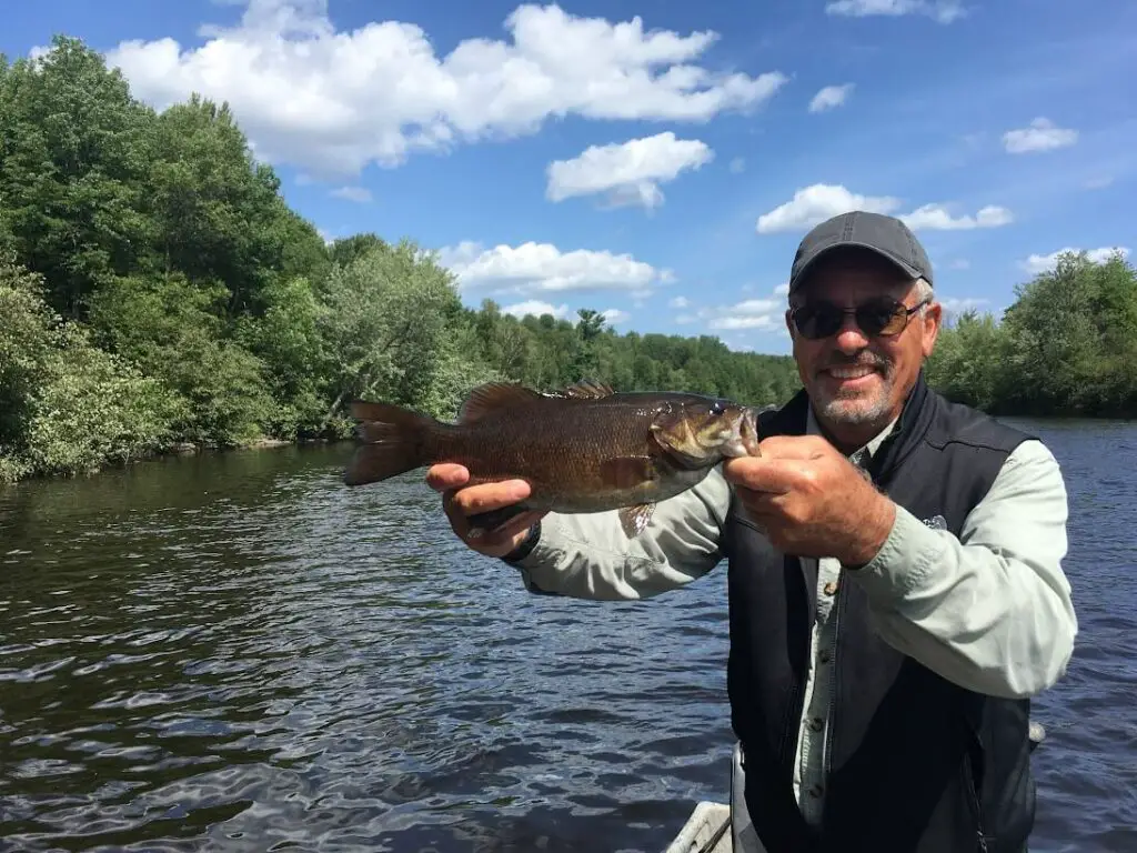 Bass from the Upper Wisconsin River