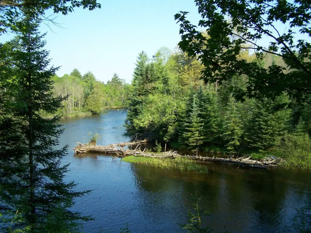 Au Sable River