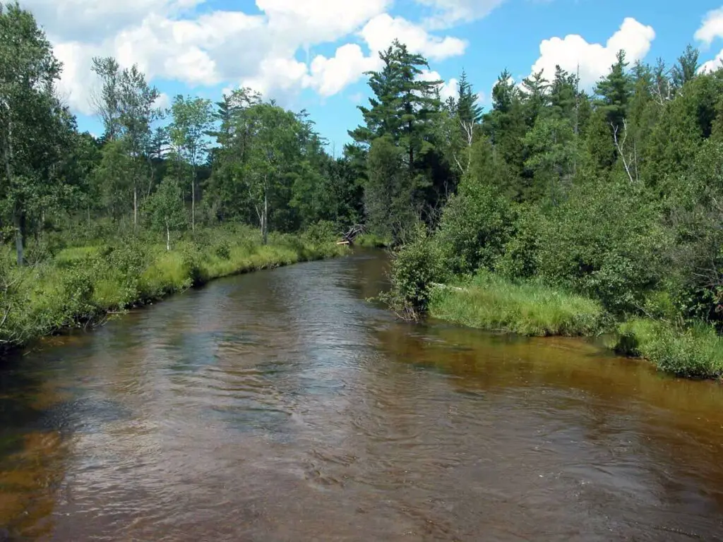 Big Manistee River