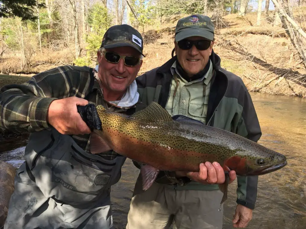 Big Michigan Steelhead