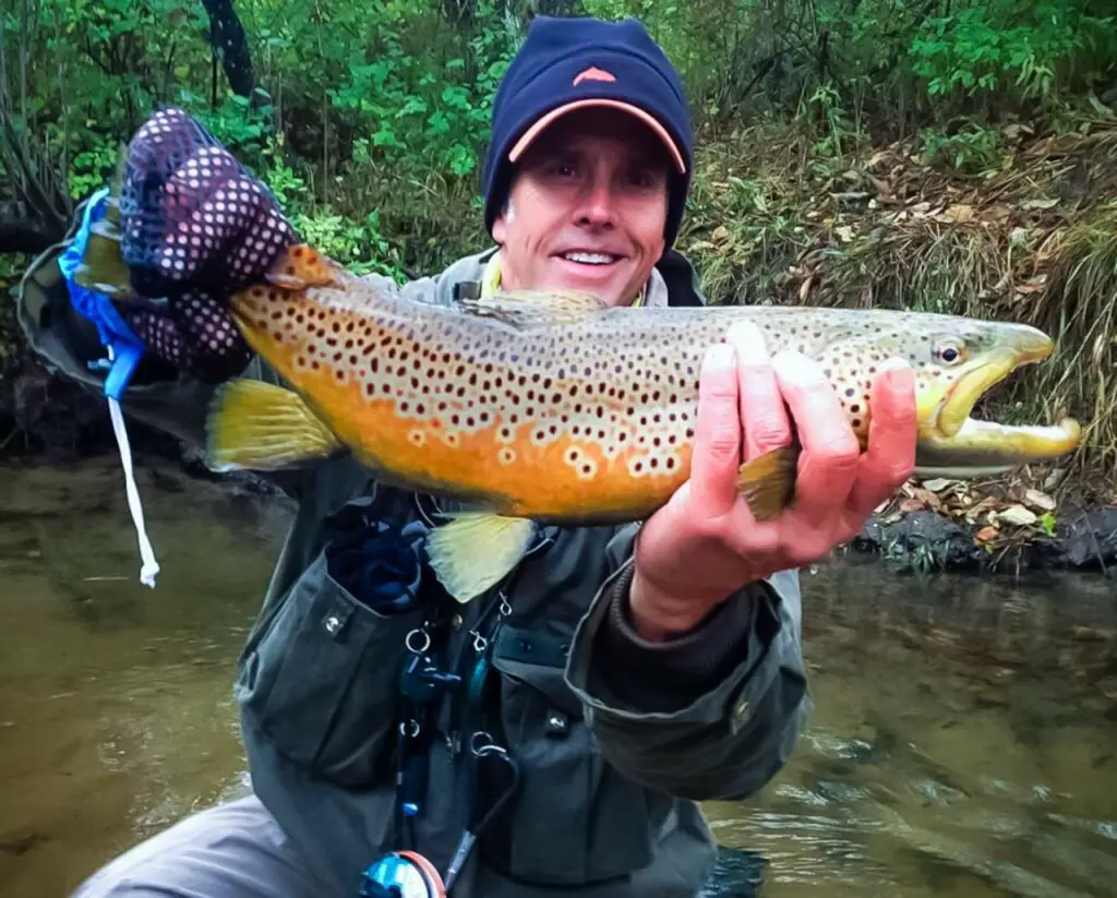 Brown Trout from Michigan