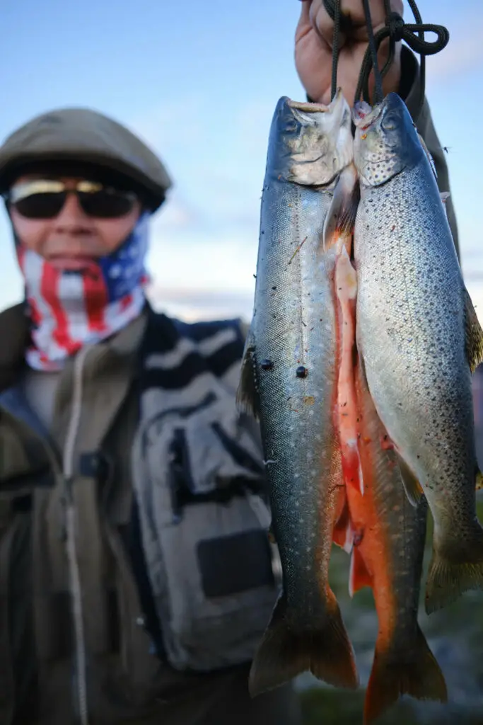 Artic Char caught on a fly rod