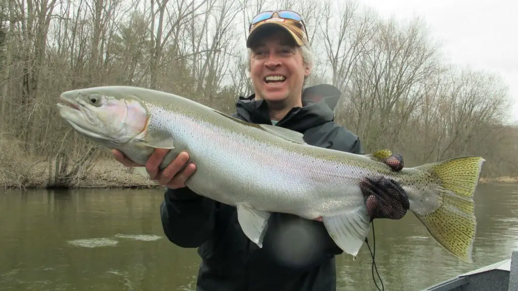 Fall Steelhead in Michigan