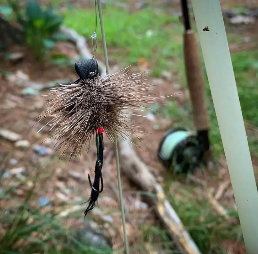 Fly Fishing at Night: Mousing for Trout 