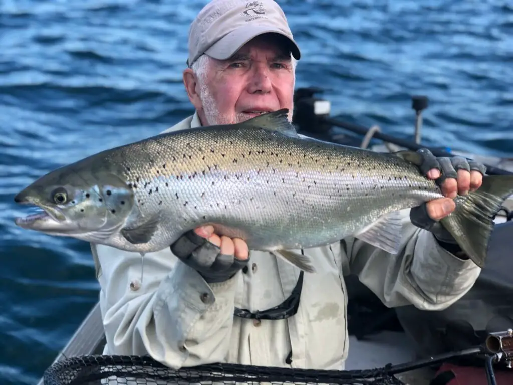 Atlantic Salmon_St Mary's River_2