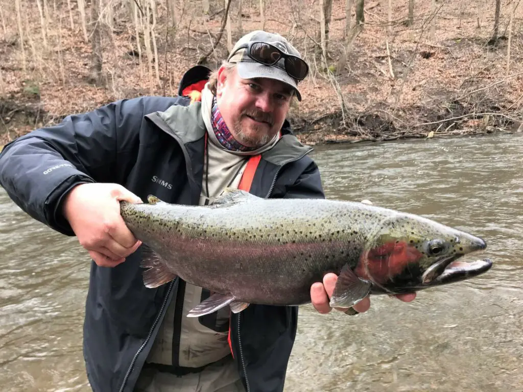 Guide Jay Anglin with spring steelhead below the now removed Pucker Street Dam.