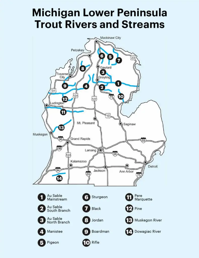 Michigan Lower Peninsula Trout Rivers and Streams