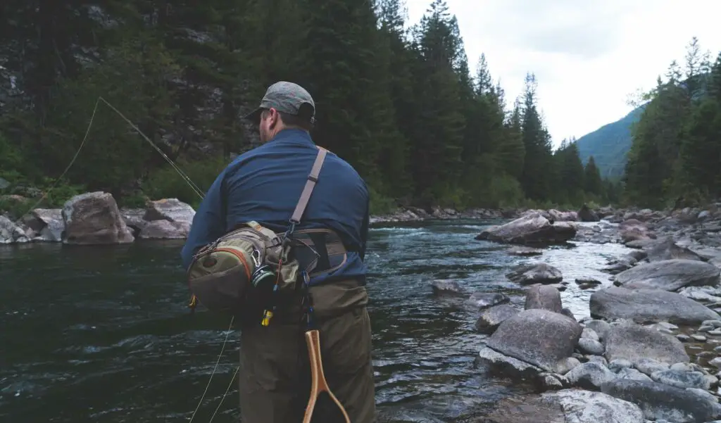 Fly Fisherman wading in a river