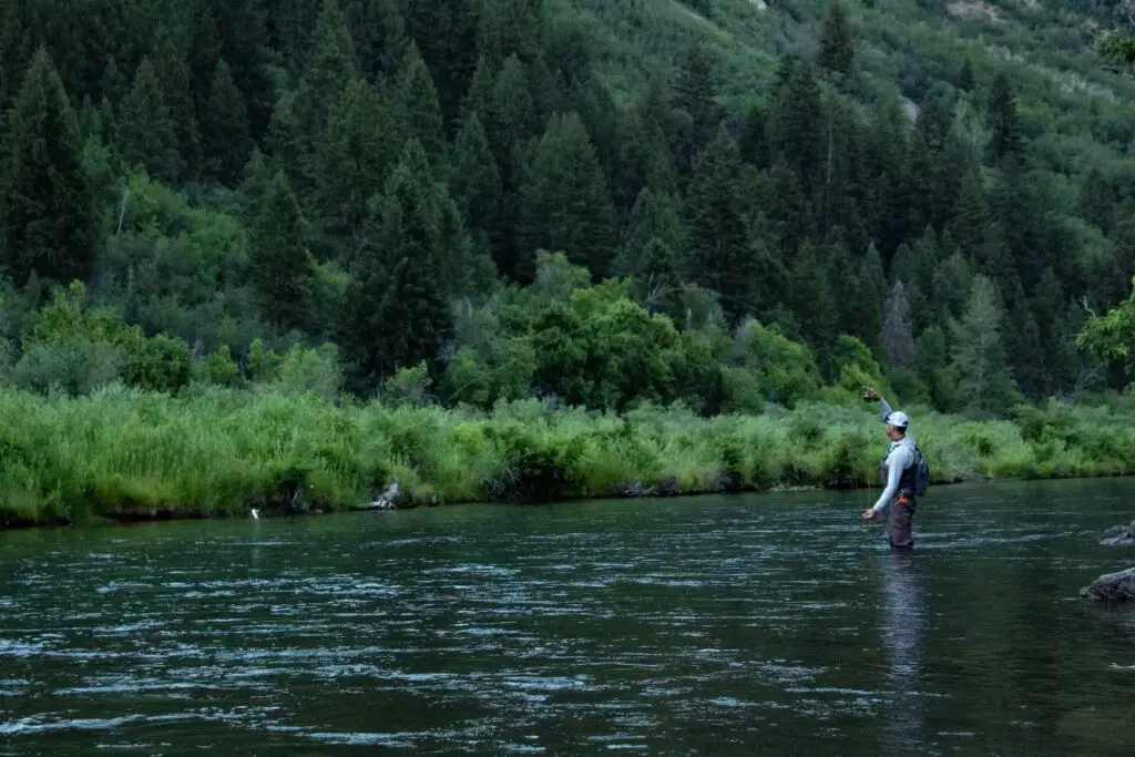 Fly fisherman playing a fish