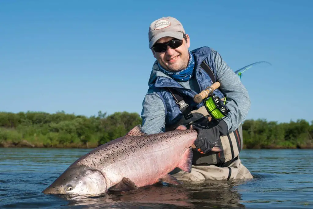 King Salmon caught Fly Fishing Alaska