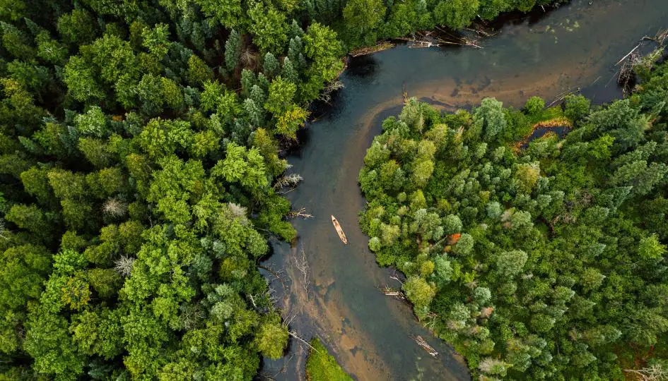Au Sable River Aerial, Michigan