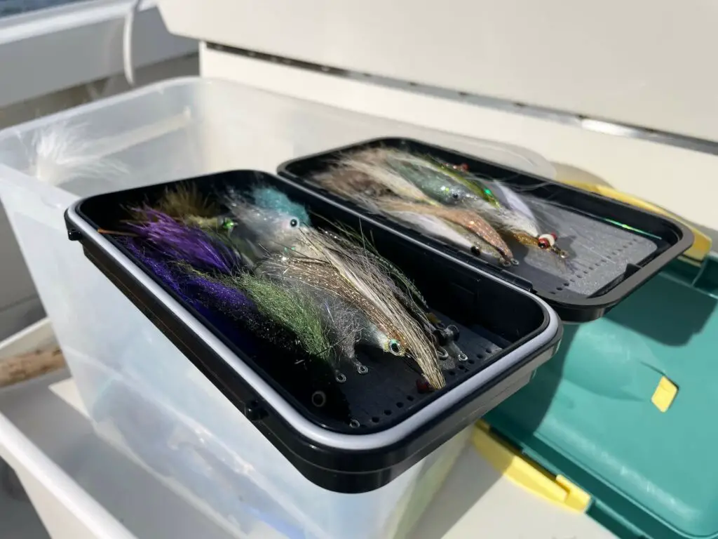 Fly Box with the Best Flies for Striped Bass Fishing