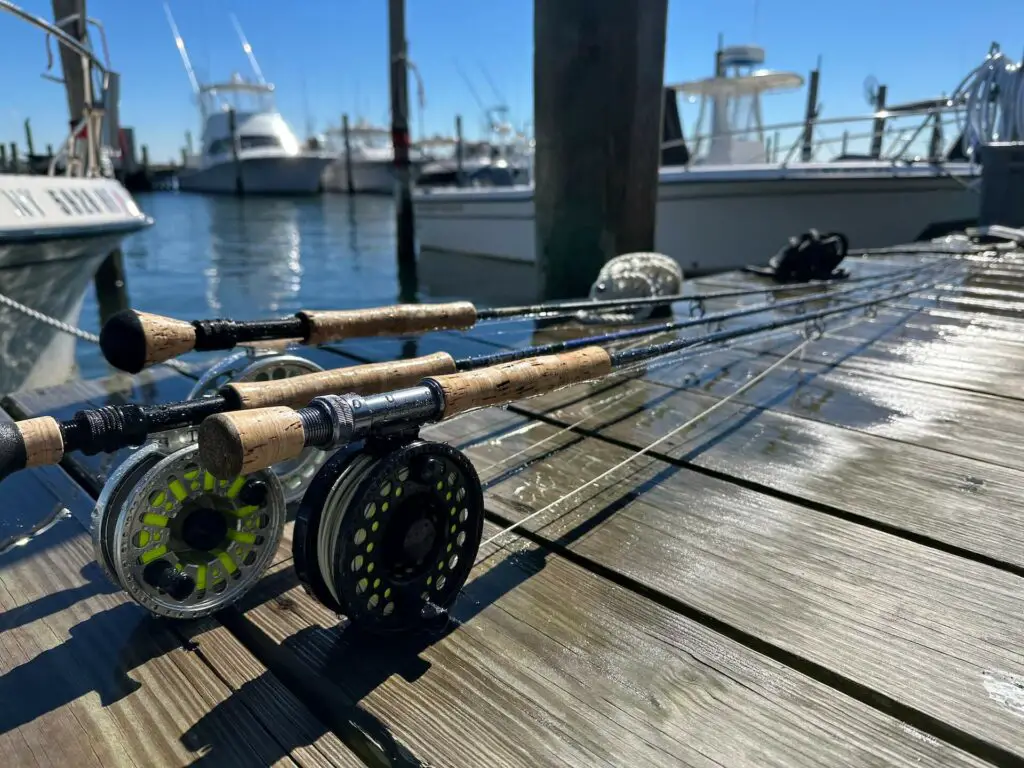 Striped Bass Fly Rods