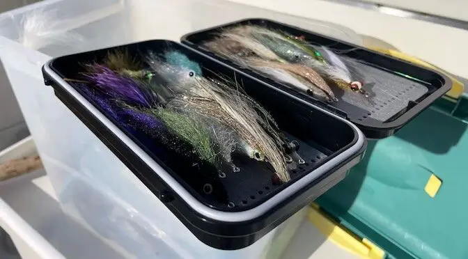 12 Best Bass Flies of all Time – Ultimate Guide