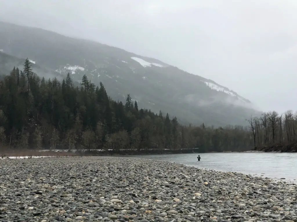 Winter Steelhead Fishing