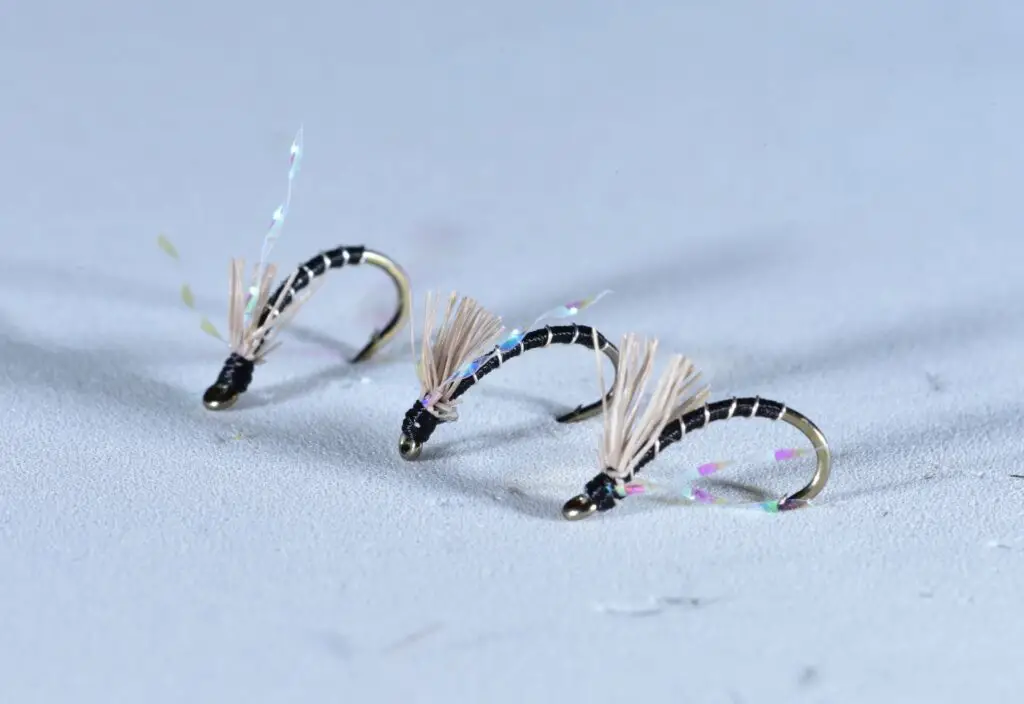 Black midge pupae trout flies: midge fly fishing